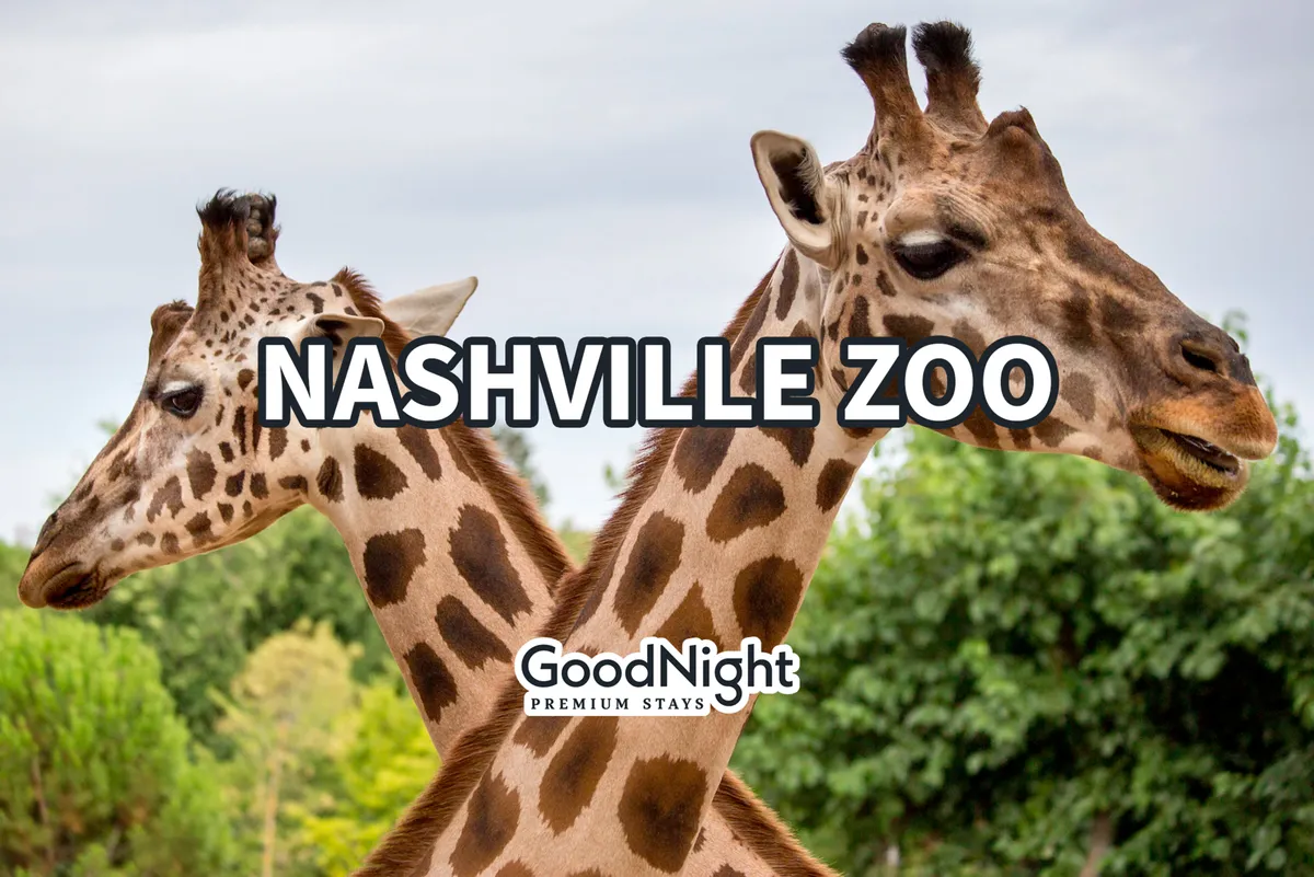 A joyful scene at the Nashville Zoo, showcasing giraffes in a lush, green zoo environment. Families and children can be imagined close to the animals, evoking curiosity and excitement.